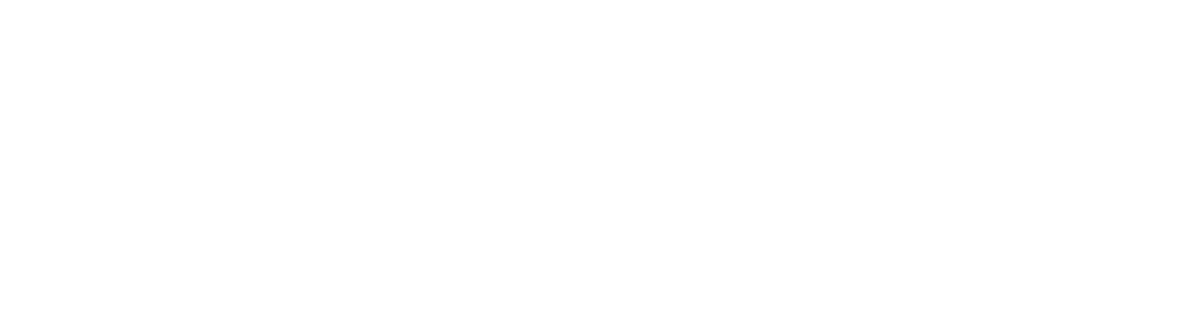 DOUBLE LEVEL